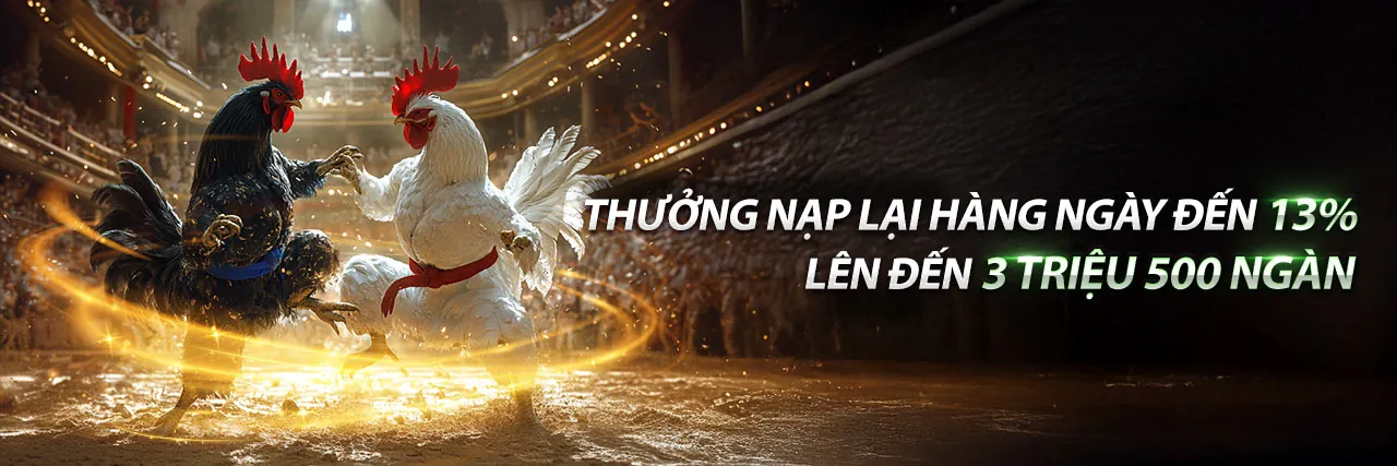 Hình ảnh tổng quan về blog Mig8 Chính Thức